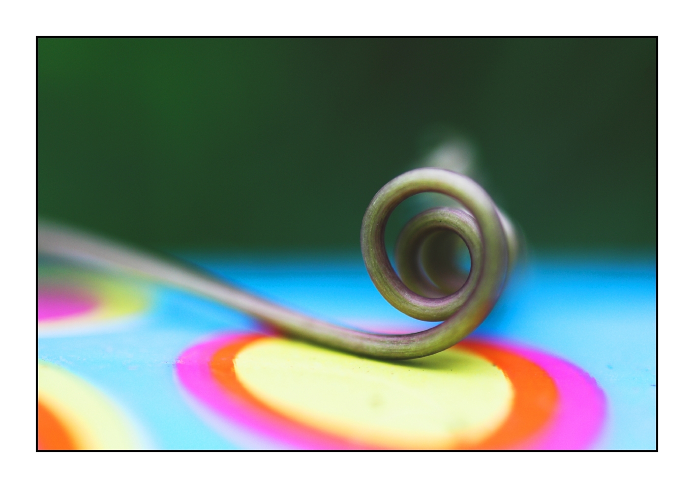 multicolour