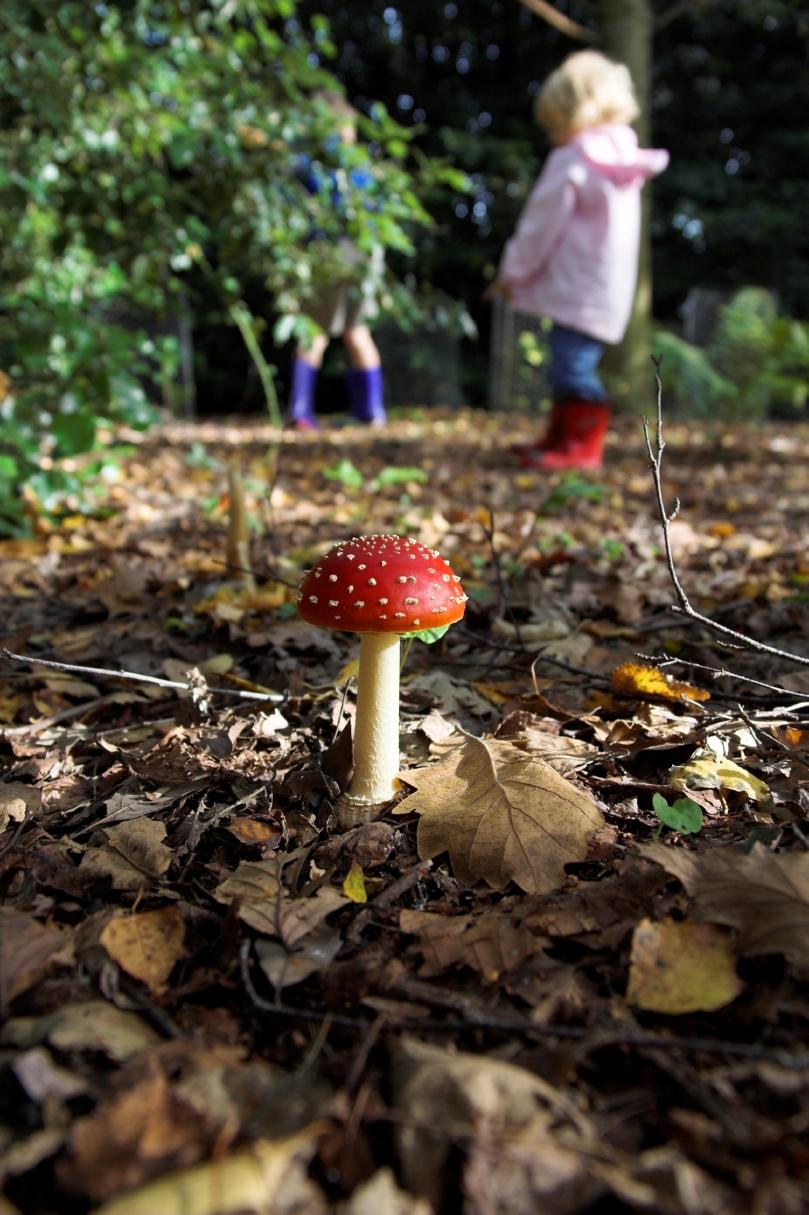 Single fly agaric