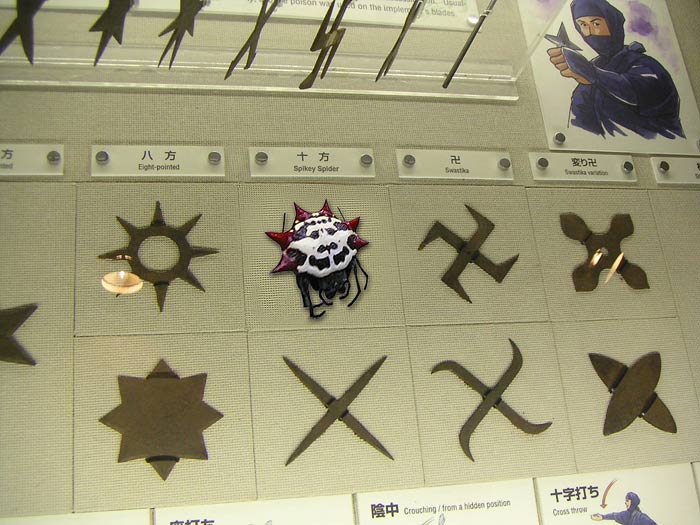 Ninja-Cache.jpg