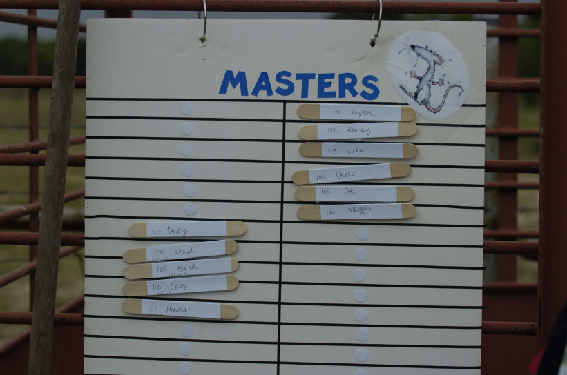 Master Board
