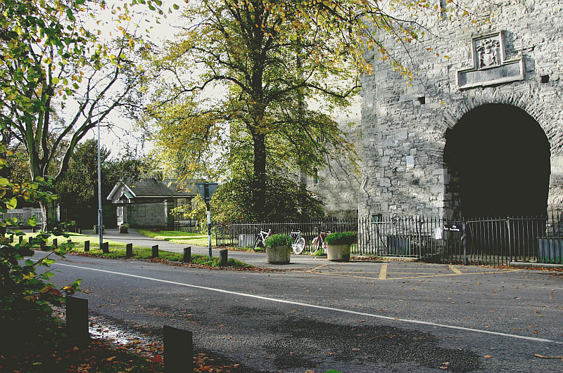 Maynooth Castle
