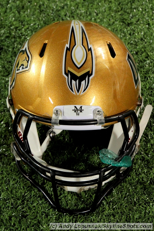 Sacramento Mountain Lions helmet