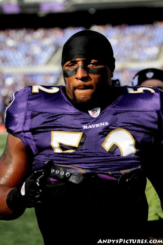 Baltimore Ravens LB Ray Lewis