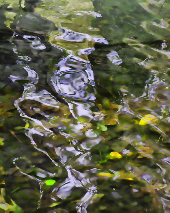 Dappled Water Abstract