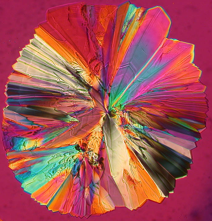Polarized Glucose Crystal #2