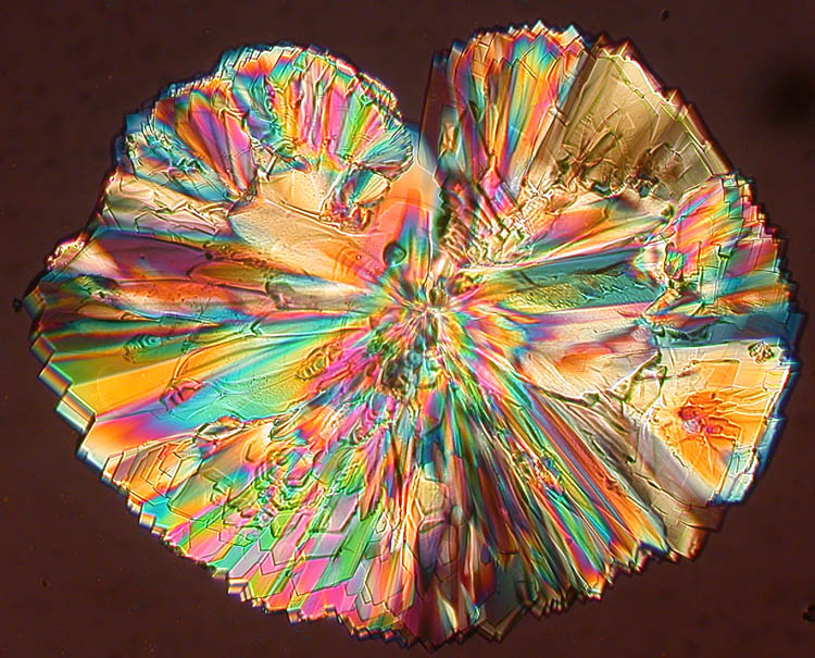 Polarized Glucose Crystal #1