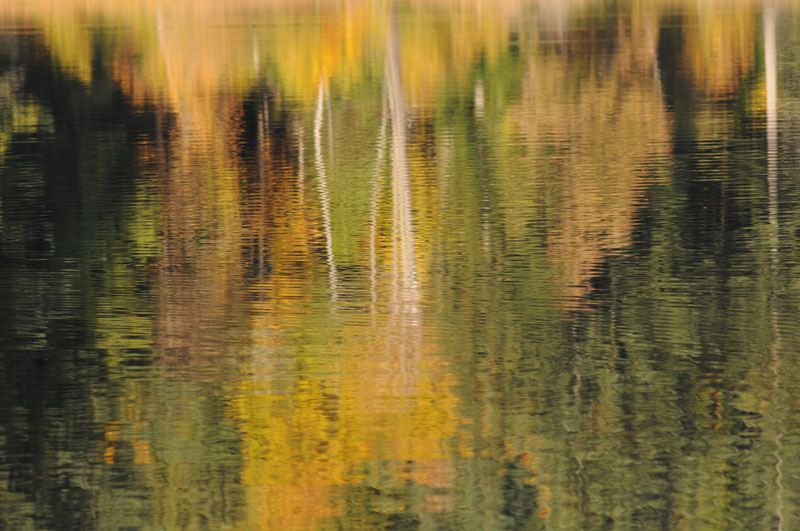 Chemainus Lake Reflecting