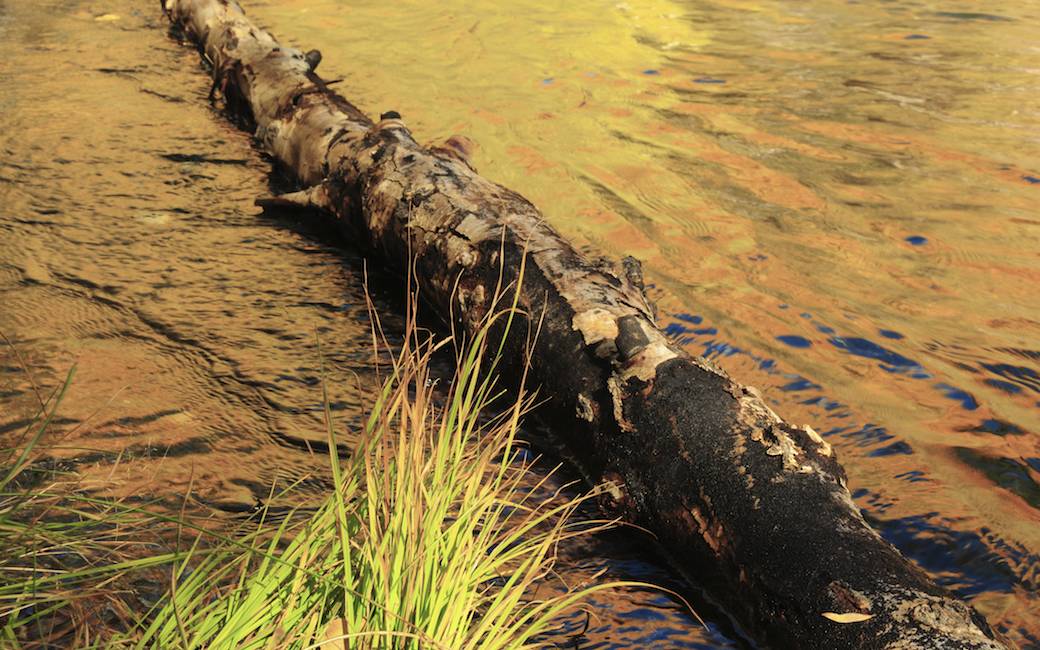 Golden Creek