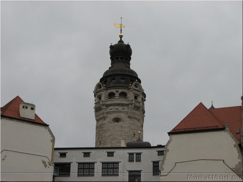 IMG_3571.JPG