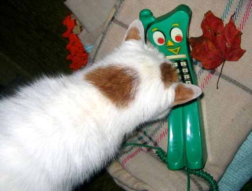 fluffy intelligence is purrrrrrrrrrrrrrrrrfect : )  