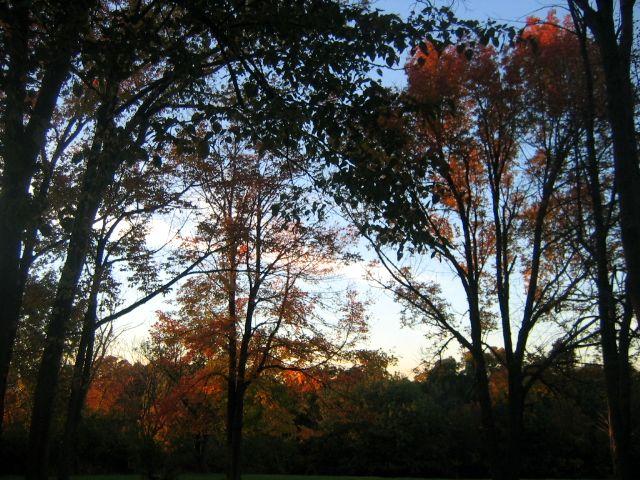 I hear colors...