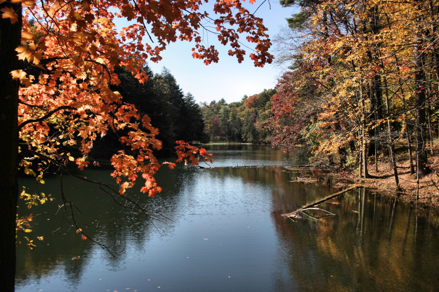 October 16, 2006<BR>Yaddo Gardens