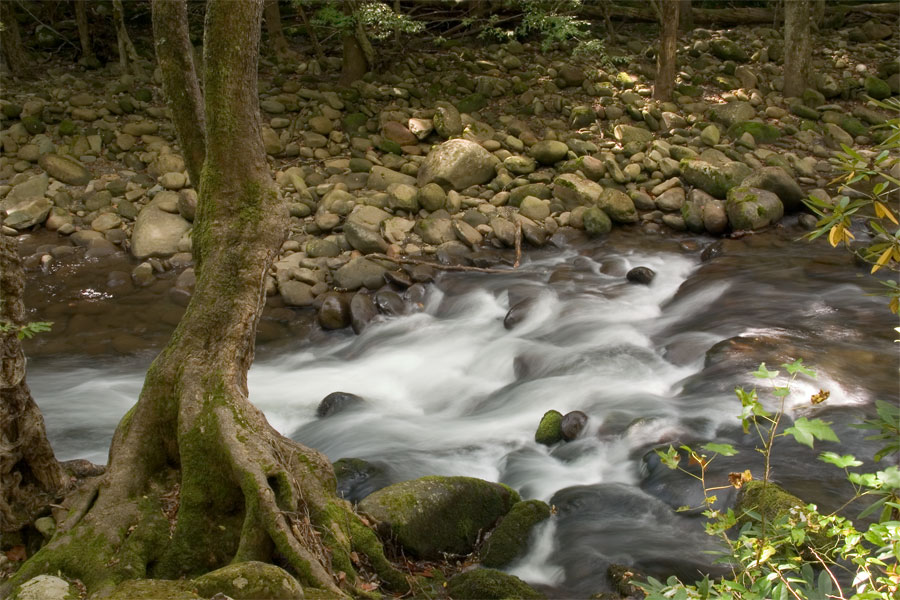 Two Mile Brook