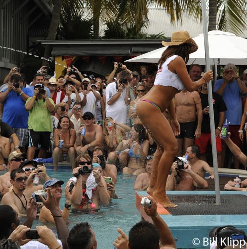 Dantes Halos & Horns Pool Party 9 photo - Bill Klipp ...