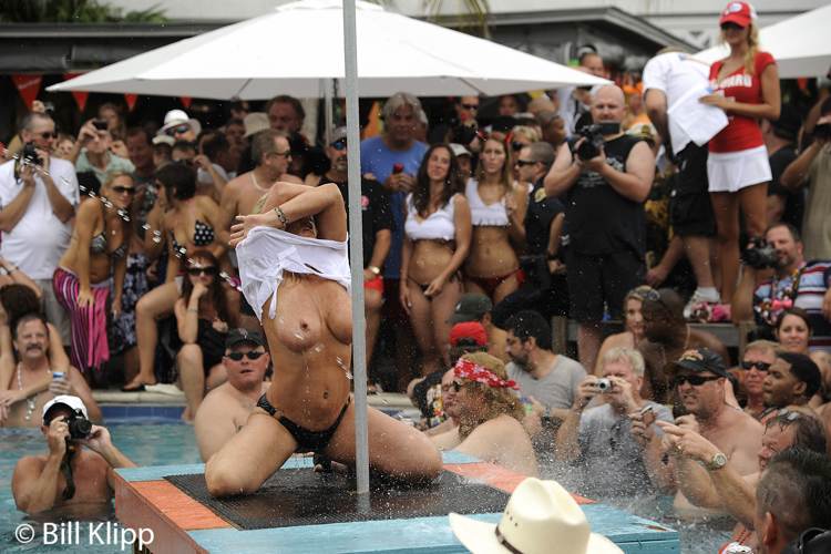 Horny Pool Party