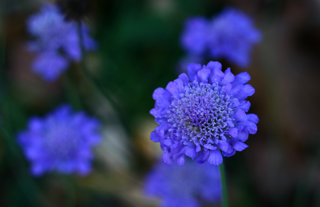 Blue and Blue