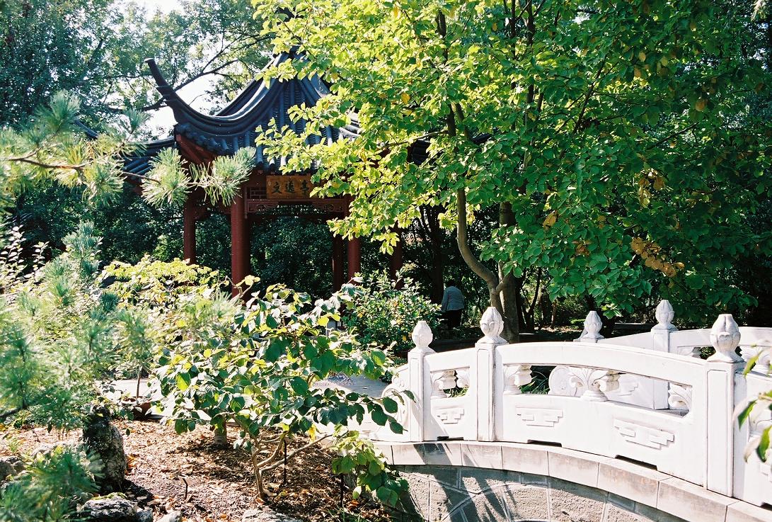 ChineseGarden3