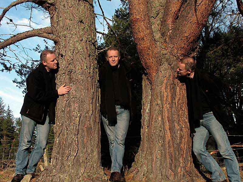 8 - Three of me*