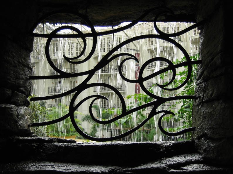 Through the bars  *