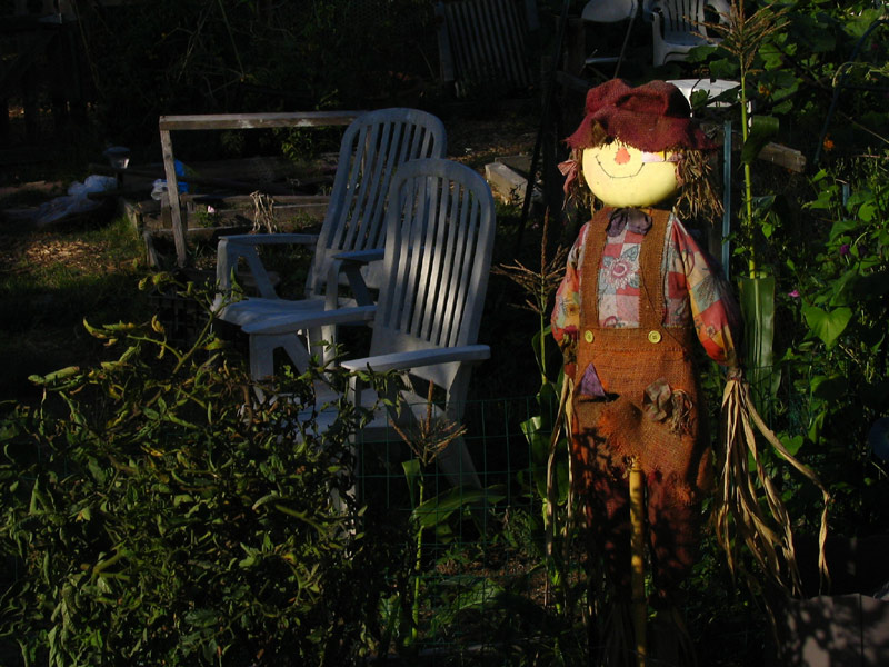 Scarecr*w