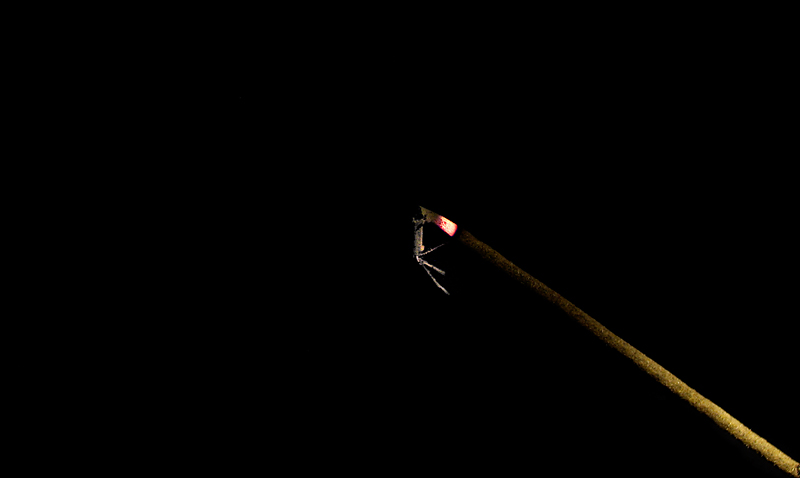 Things that Hang in the Dark *