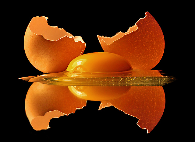 <b>2nd</b> <br> On The Half Shell*<br> by Techo
