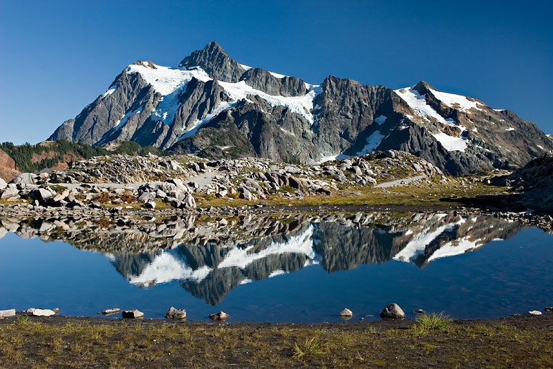 <b>5th</b> <br>  Mirror, Mirror, in the pond... *<br>by Ann Chaikin