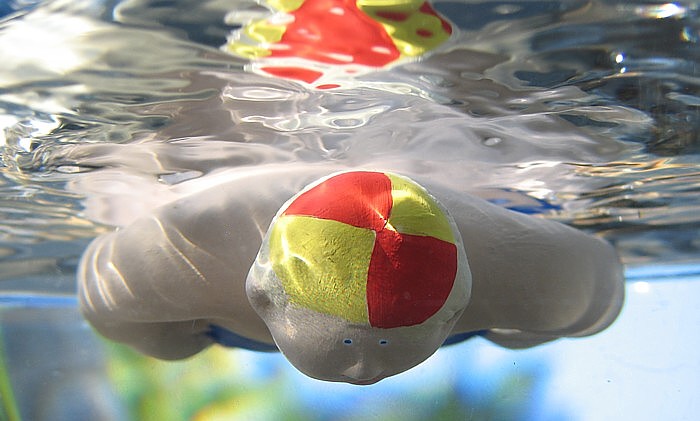swimmer
