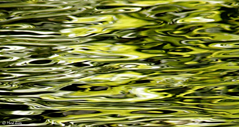 Its All About The Water