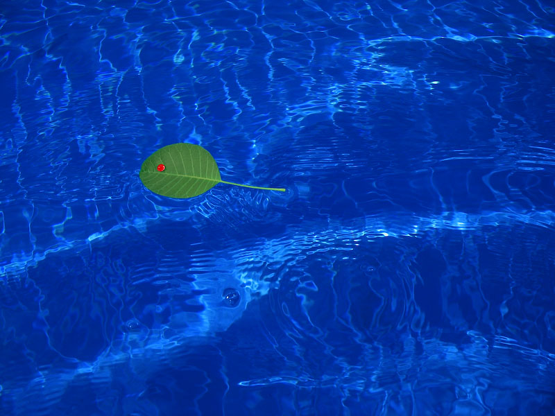 Water and Life *