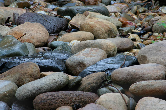 Rocks *
