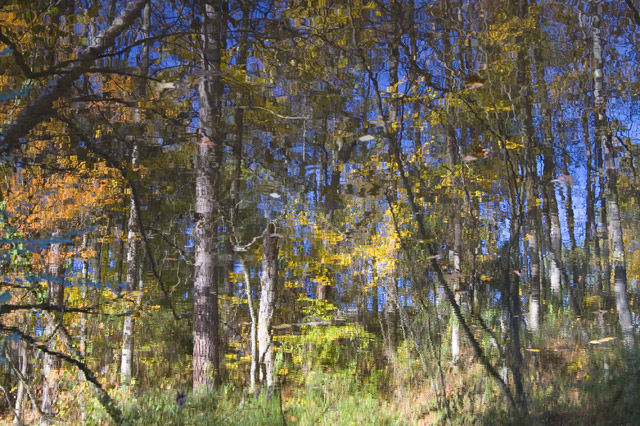 reflection on a fall day