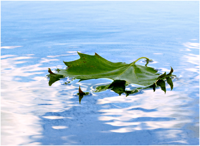 Reflection*