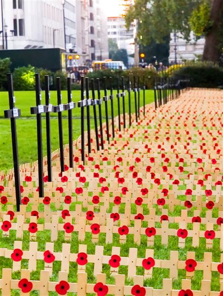 We shall remember them !