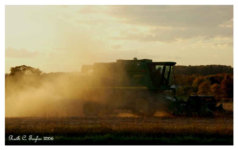 Autumn Harvest at Sunset