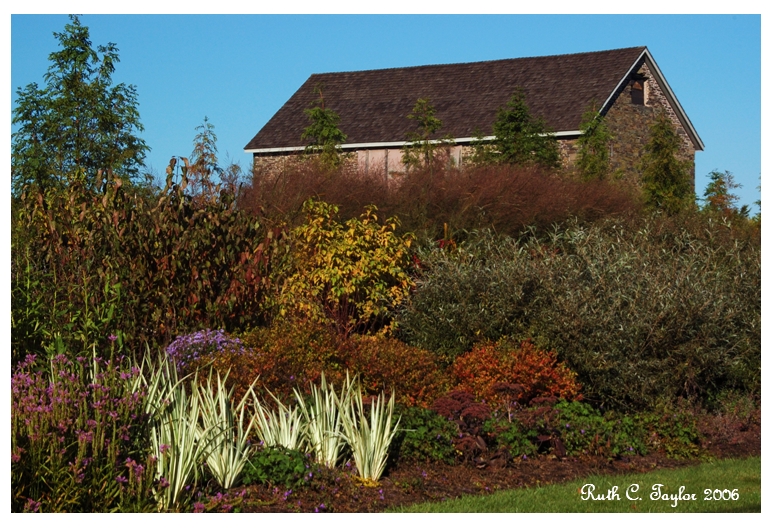 Autumn at Lindenhill Farm