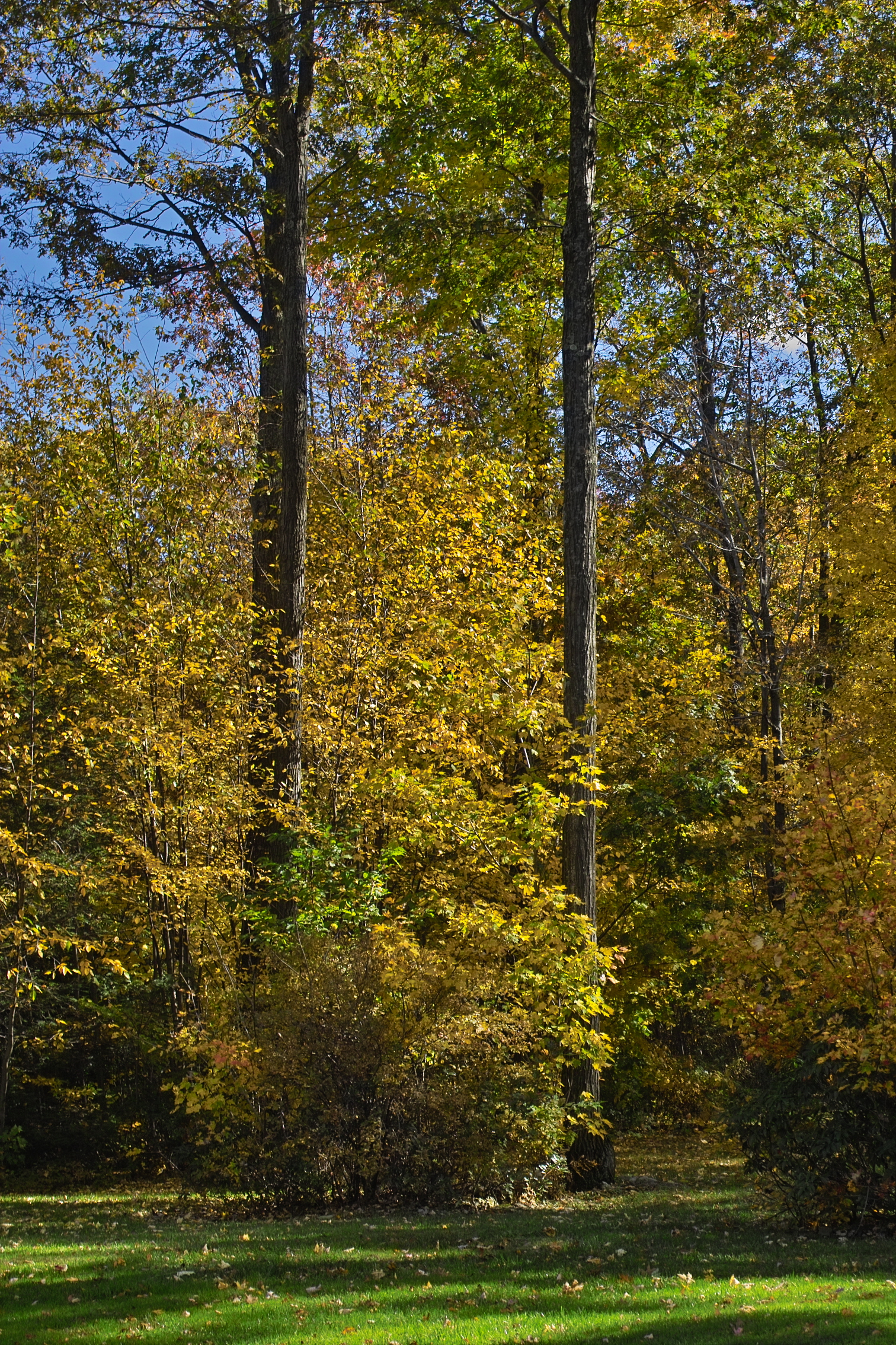 IMG18561.jpg