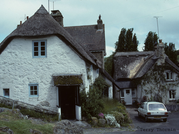 Lustleigh thatched cottage.jpg