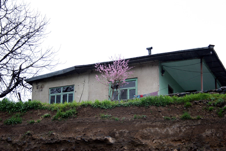 Mazandaran