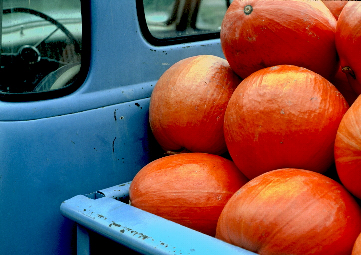 Pumpkin pickup