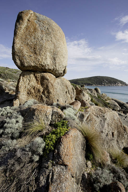 Between Picnic Beach and Whisky Beach, W P N P