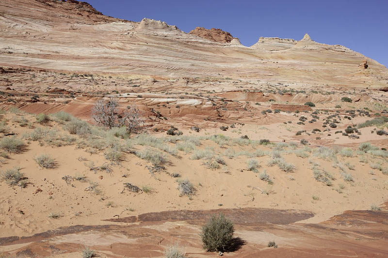 View from the entrance of the Wave