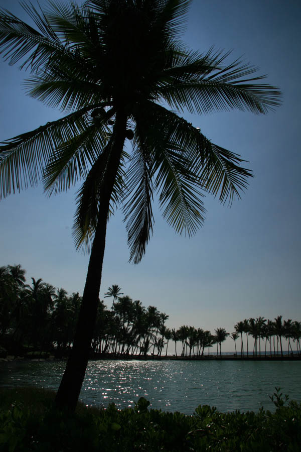 Anaehoomalu Beach