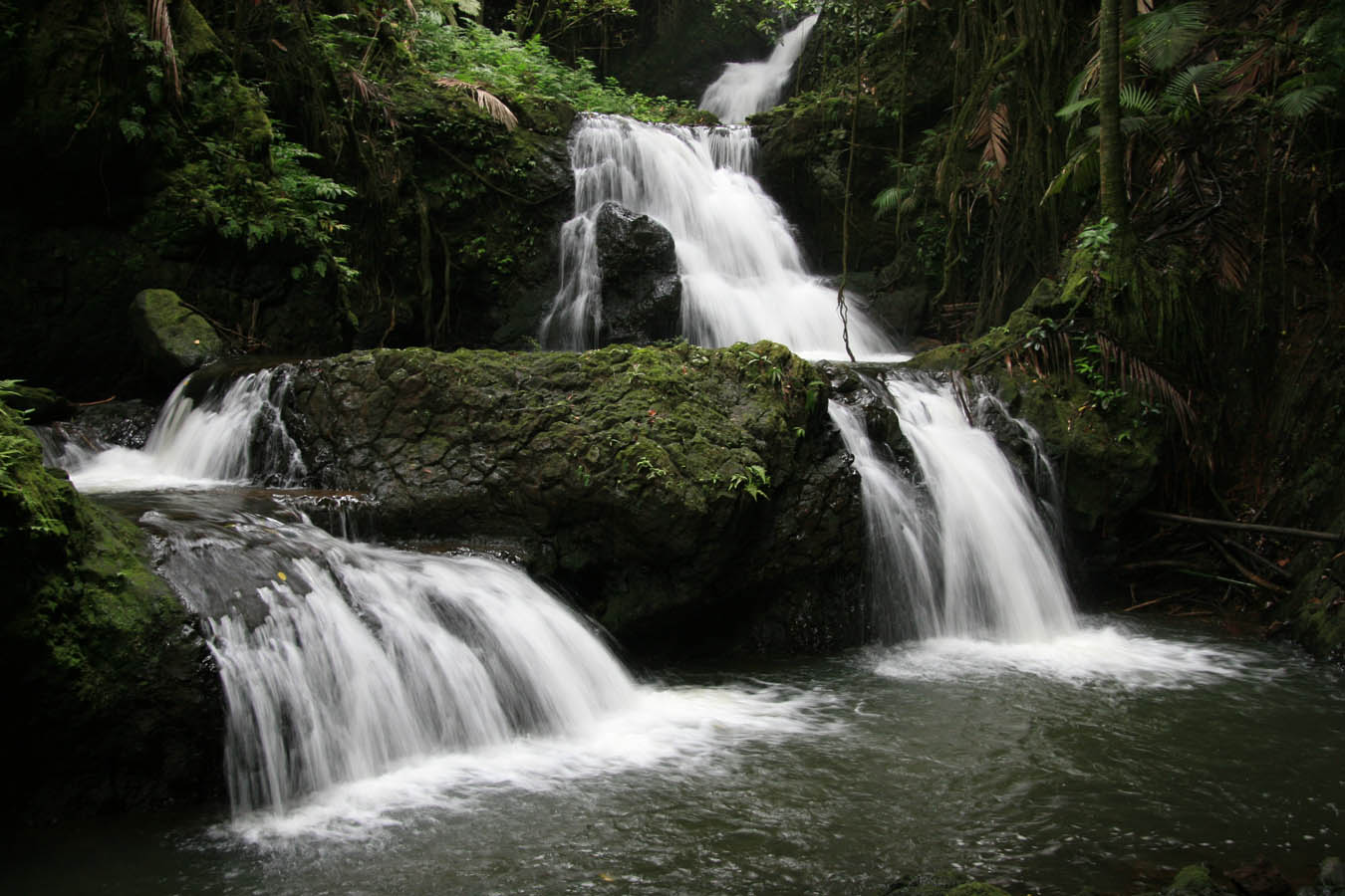 Onomea Falls at Botonical Gardens