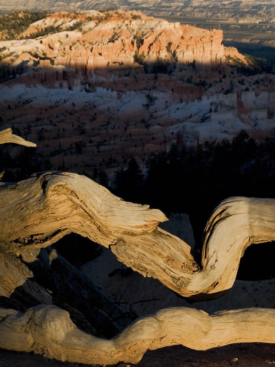 <B>Last Light</B><BR> - Bryce Canyon National Park, Utah