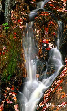 Autumn Waterfall