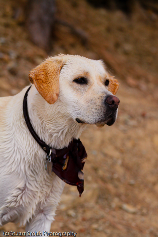 Berti August 2011-1701.jpg