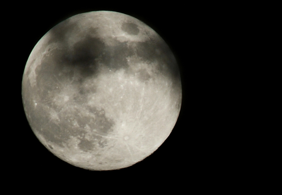 moon with leaf shadows