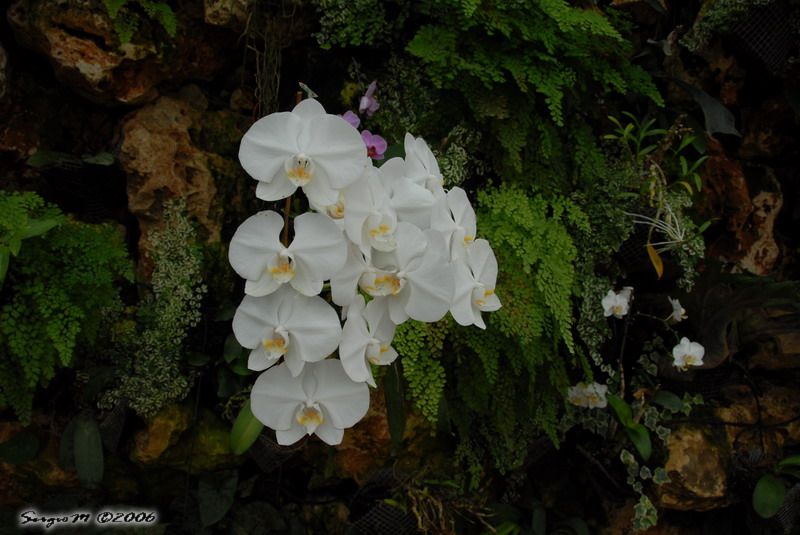 DSC_0013.JPG