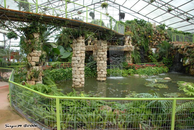 DSC_0021.JPG